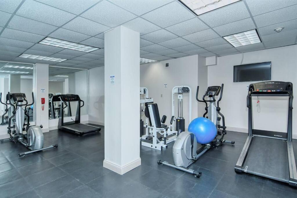 Waterfront, Pool, Tiki Bar & Grill, Gym, Location! Lejlighed Sarasota Eksteriør billede